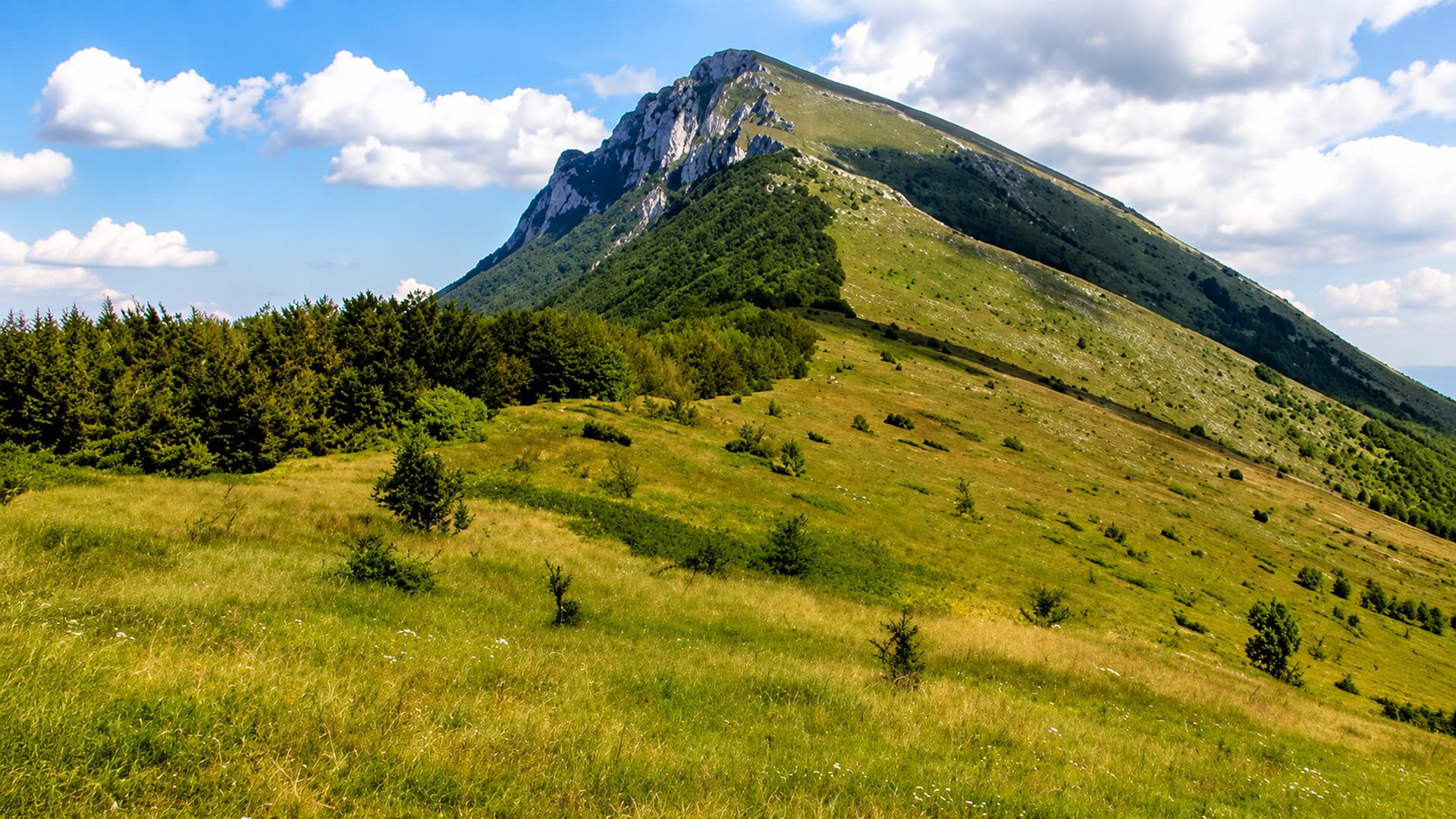 Planine